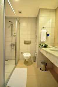 コナクリにあるHotel Titan Garden Ultra All Inclusiveのバスルーム(トイレ、シャワー、シンク付)