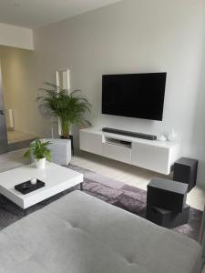 ein Wohnzimmer mit einem TV in einem weißen Unterhaltungszentrum in der Unterkunft MAGNIFIQUE APPARTEMENT DE STANDING PLEIN CENTRE in Chalon-sur-Saône