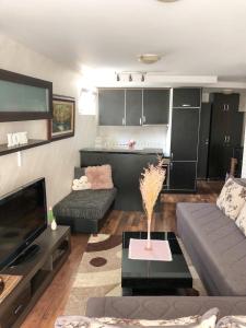 ein Wohnzimmer mit einem Sofa und einem TV in der Unterkunft Ruza apartman in Budva