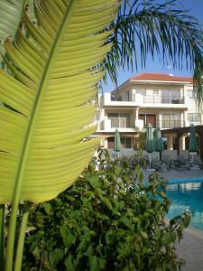 una grande foglia di palma gialla accanto a una piscina di 104 Excellent 2 bed apartment with pool view, AC & gym! a Perivólia