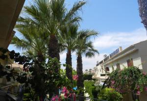 un grupo de palmeras frente a un edificio en Playa flamenca en Playa Flamenca