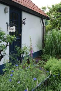 un jardín con flores púrpuras frente a una casa en Lisayalichtwerk, en Tweede Exloërmond