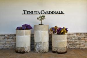 Fotografie z fotogalerie ubytování Tenuta Cardinale v destinaci Manduria