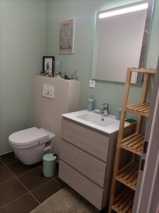 a bathroom with a toilet and a sink and a mirror at Proche GR34 , Studio "Estrella" , petit cocon accueillant in Hillion