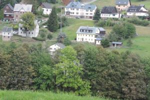 eine Stadt mit Häusern auf einem Hügel mit Bäumen in der Unterkunft Sonnenblick Rittersgrün II in Breitenbrunn