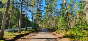 une route au milieu d'une forêt arborée dans l'établissement Back to Retro Yyterissä, à Pori
