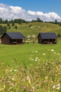 a couple of buildings in a field of grass at L étincelle du Manon in Lajoux