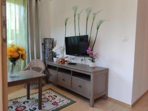 Μια τηλεόραση ή/και κέντρο ψυχαγωγίας στο Dream Apartment Brglez