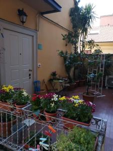 a bunch of flowers in pots on a patio at B&B Casa Caterina in Milan