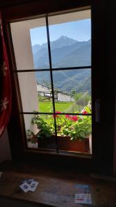 Nespecifikovaný výhled na hory nebo výhled na hory při pohledu z bed and breakfast
