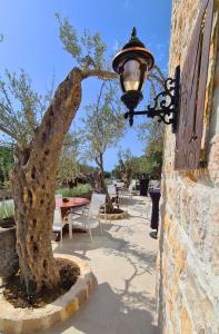 Afbeelding uit fotogalerij van MASHTRA - The Olive House in Ulcinj