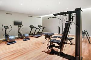 Fitness centrum a/nebo fitness zařízení v ubytování Eurostars Guadalquivir