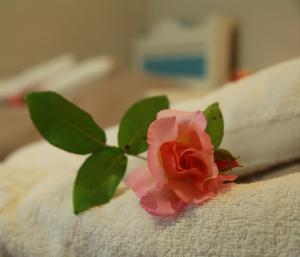 una rosa rosa sentada encima de una toalla en Ktima Theofilos - Frideriki, en Petrití