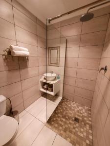 een badkamer met een douche, een wastafel en een toilet bij Comfort Zone in Johannesburg