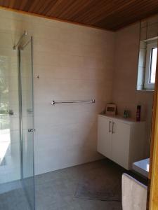een badkamer met een douche en een glazen deur bij Karolinenhof in Schüttorf