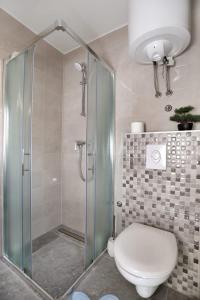 La salle de bains est pourvue de toilettes et d'une douche en verre. dans l'établissement Studio apartman Mihaella, à Kaštela