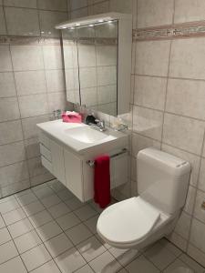 A bathroom at Ferienwohnung CASA URSIN Val Lumnezia