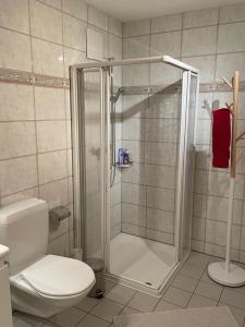uma casa de banho com um chuveiro e um WC. em Ferienwohnung CASA URSIN Val Lumnezia em Lumbrein
