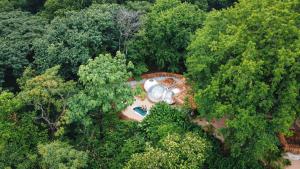 an overhead view of a pool in the middle of a forest at Nosara Satori Bubbles in Nosara