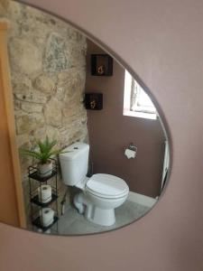 ein Badezimmer mit einem weißen WC und einer Steinmauer in der Unterkunft Cobbles cottage - 2 bedroom stone built cottage in Ballynahinch