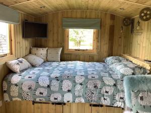 ein Schlafzimmer mit einem Bett in einer Hütte in der Unterkunft The Shepherd s Hut at Hafoty Boeth in Corwen