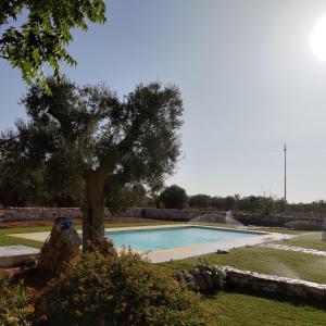a swimming pool with a tree in a yard at Masseria Borgo Santuri in Ostuni