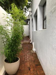een bakstenen loopbrug met planten in potten naast een gebouw bij Comfort Zone in Johannesburg