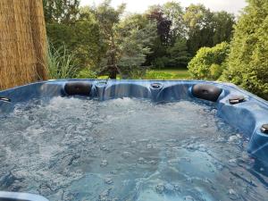 a plunge pool with water in a backyard at Sutton Hall Resort in Thirsk