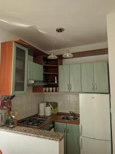 Kuchyň nebo kuchyňský kout v ubytování Villa Triton