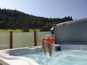 Duas taças de champanhe numa banheira de hidromassagem. em Llyn Brenig Lodge em Betws-y-coed