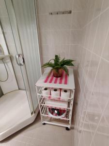 une plante assise sur une étagère dans une salle de bains dans l'établissement Metsä Fibren biotehtaan lähellä (1,5km) 6 hlö:lle, à Kemi