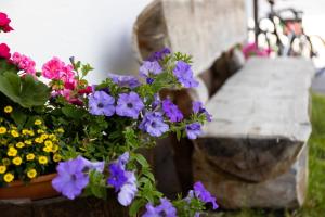 Giardino di Pernerhof