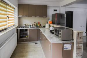 a kitchen with stainless steel appliances and a counter top at Hățașul Bunicului in Arefu