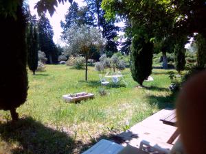 un jardín con un banco en el césped en Le Domaine de Belle, en LʼIsle-sur-la-Sorgue