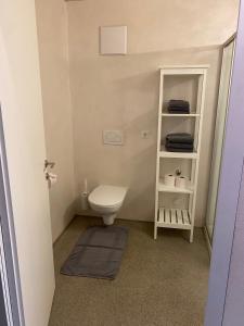 a small bathroom with a toilet and a shelf at Haus Christiane in Schoppernau +7 photos