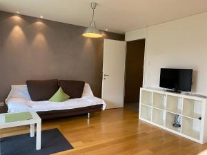 a living room with a couch and a tv at Haus Christiane in Schoppernau