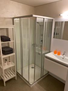 a bathroom with a glass shower and a sink at Haus Christiane in Schoppernau