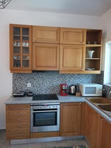 A kitchen or kitchenette at Theofilos apartment