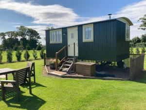 a green tiny house in a yard with a picnic table at The Hawthorn Shepherds Hut in Eyemouth
