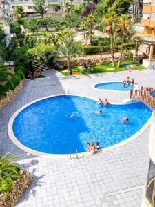 eine Gruppe von Personen, die in einem Schwimmbad schwimmen in der Unterkunft Apartamento excepcional,piscina y 100m de la playa, parking gratis!! in Salou