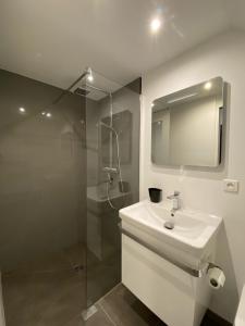 Un baño blanco con lavabo y ducha. en 2 Pièces La Tour, en Saint-Étienne-de-Tinée