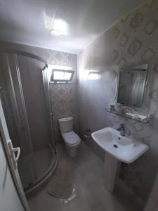 a bathroom with a sink and a toilet and a shower at Kemeni Gardens in Batumi