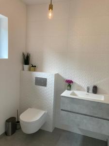 een witte badkamer met een toilet en een wastafel bij B&B La Miniera in Genk