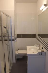 a bathroom with a sink and a toilet and a shower at Baltic Sea Apartment in Dziwnówek