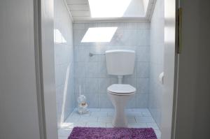 ein Badezimmer mit einem WC und einem lila Teppich in der Unterkunft Ferienwohnung Annemarie in Sankt Kanzian am Klopeiner See