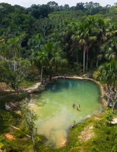 people swimming in a pool with palm trees at Guacamayo Azul in Iquitos