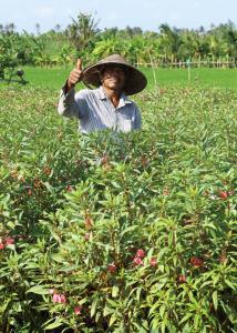 un hombre con un sombrero parado en un campo de plantas en Tamu Seseh, en Canggu