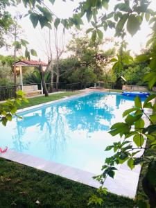 a large blue swimming pool in the grass at VILLA ELENI in Anavissos