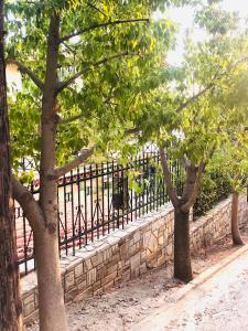 Afbeelding uit fotogalerij van VILLA ELENI in Anavissos