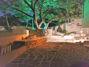 A garden outside Executive Junior Suite with Balcony